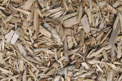 biomass boilers Llanerfyl