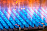 Llanerfyl gas fired boilers